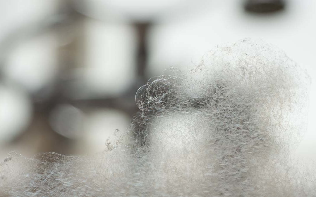 תמחור עדכני לרכיב סולארי