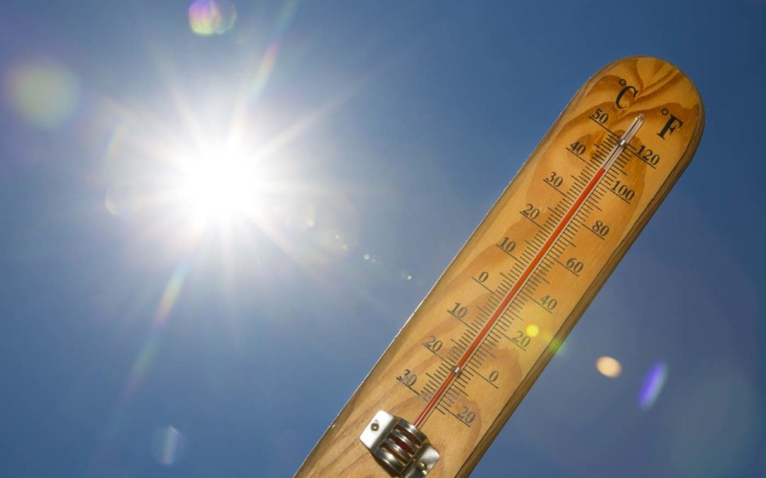 סקירת עלויות לרכיב סולארי